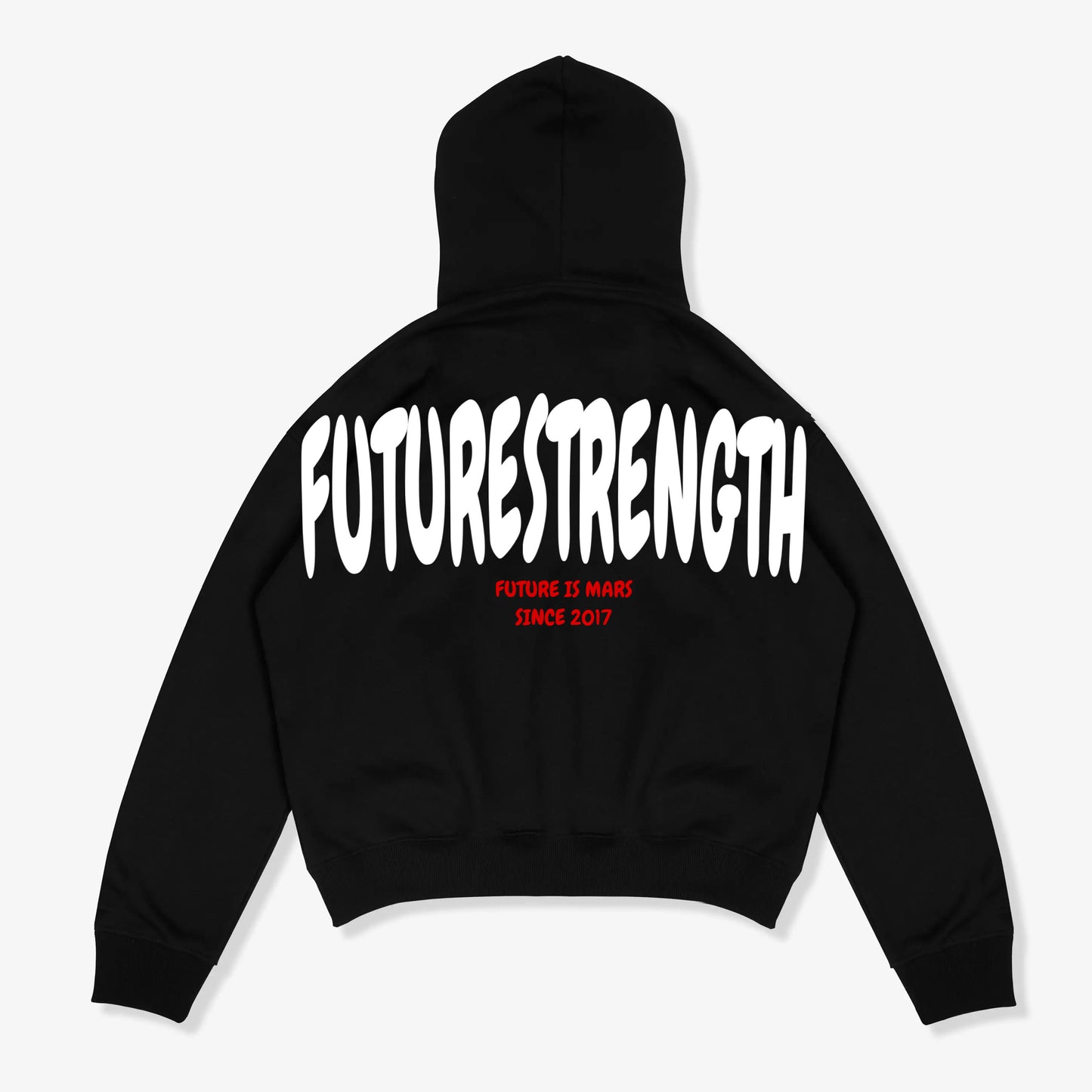 Hoodie Regular “FutureStrength”